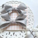 Clips Vera Silver (2 pcs)